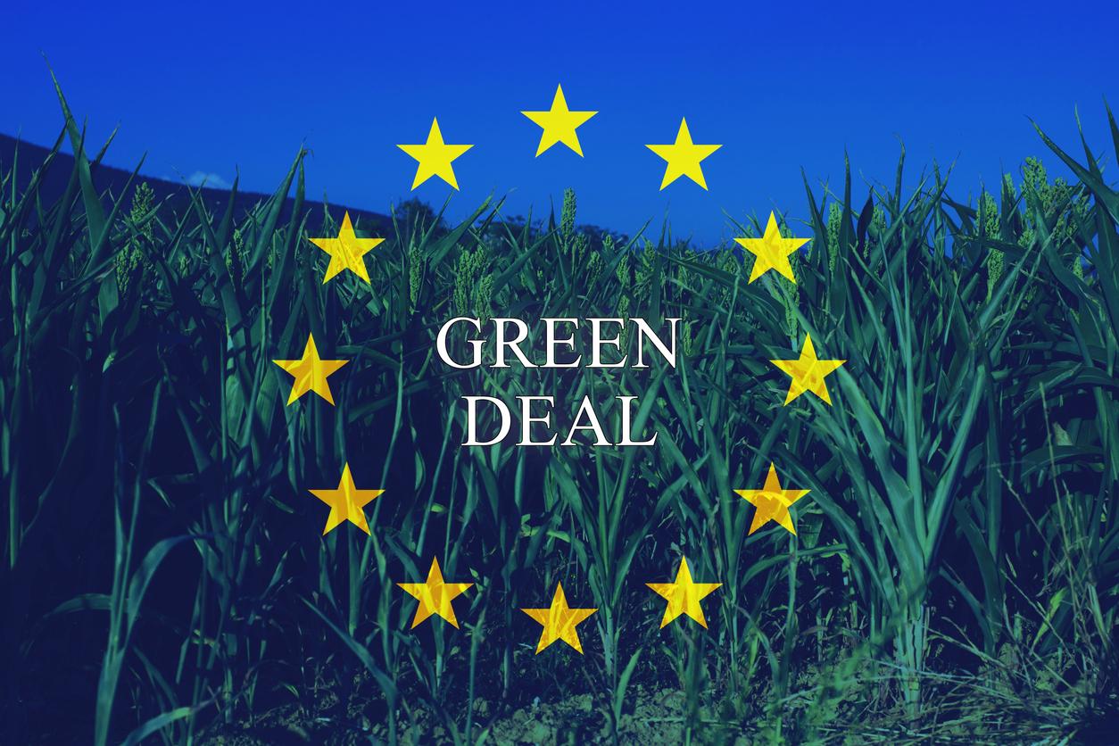 Ist der EU-Green Deal wegweisend für die Zukunft des globalen Agrarhandels?